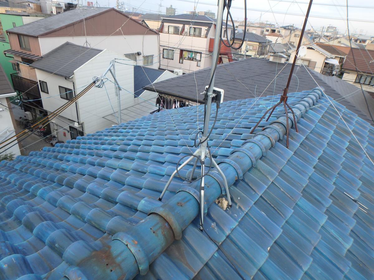 ���튢�i�΁j