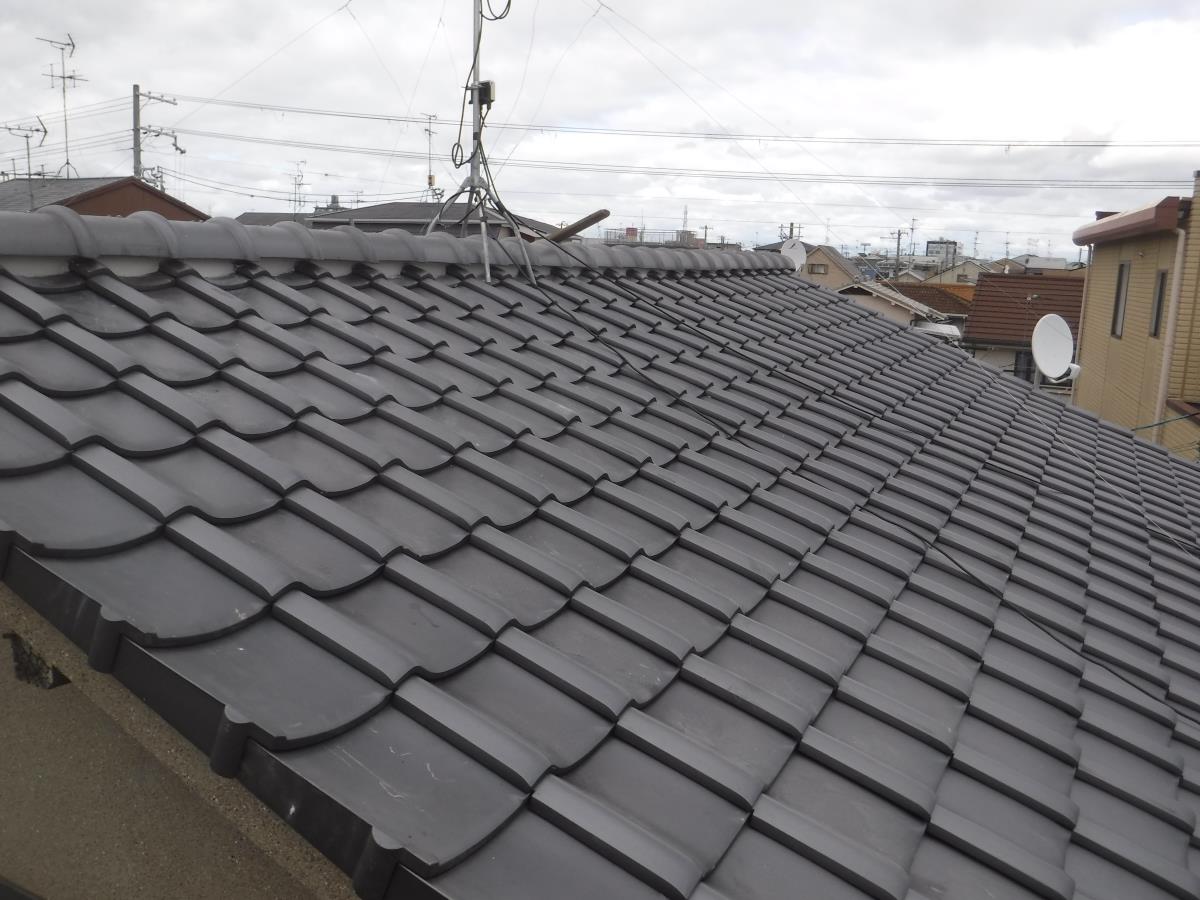 ���튢�i��؁j