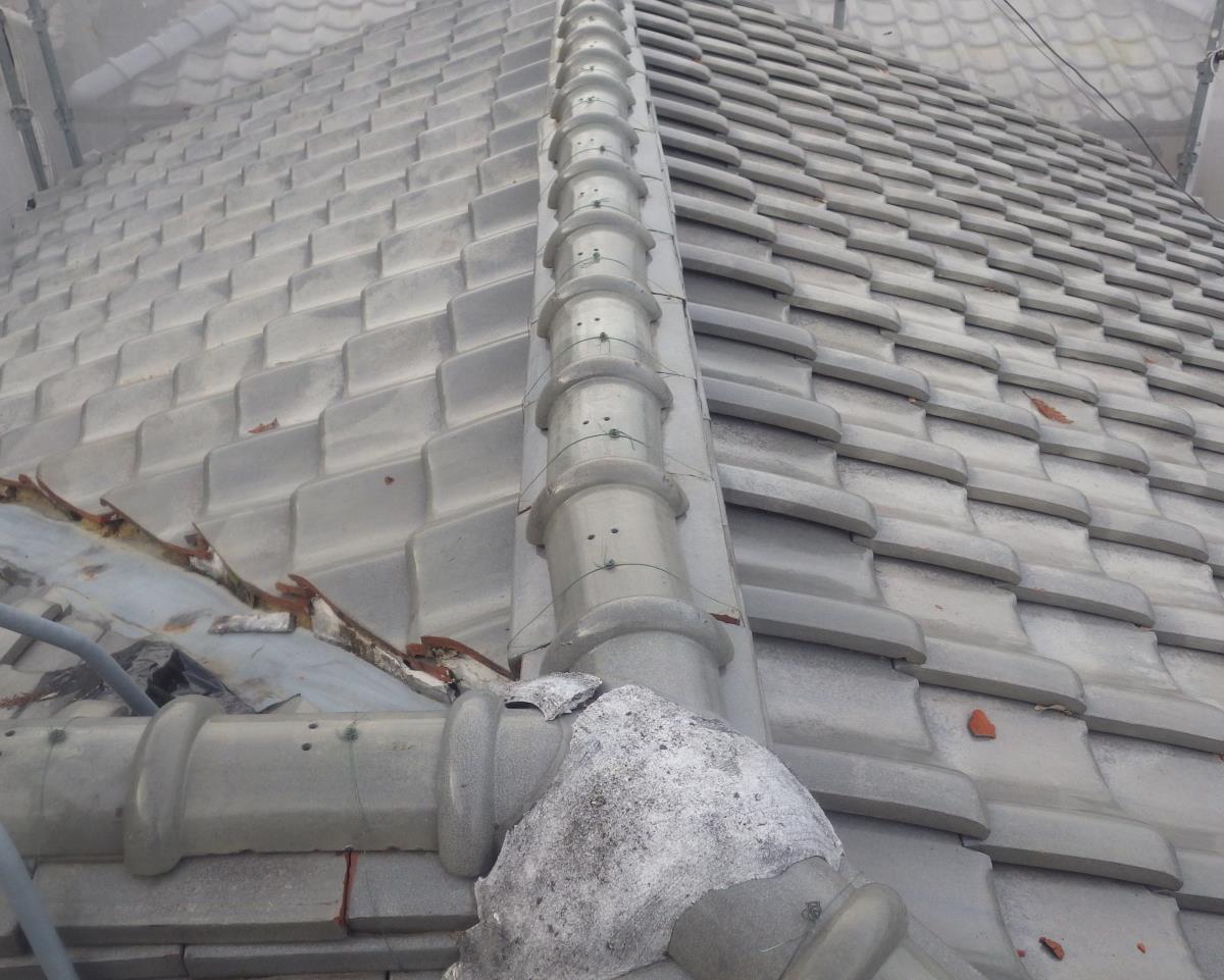 ���튢�i�V���o�[�j