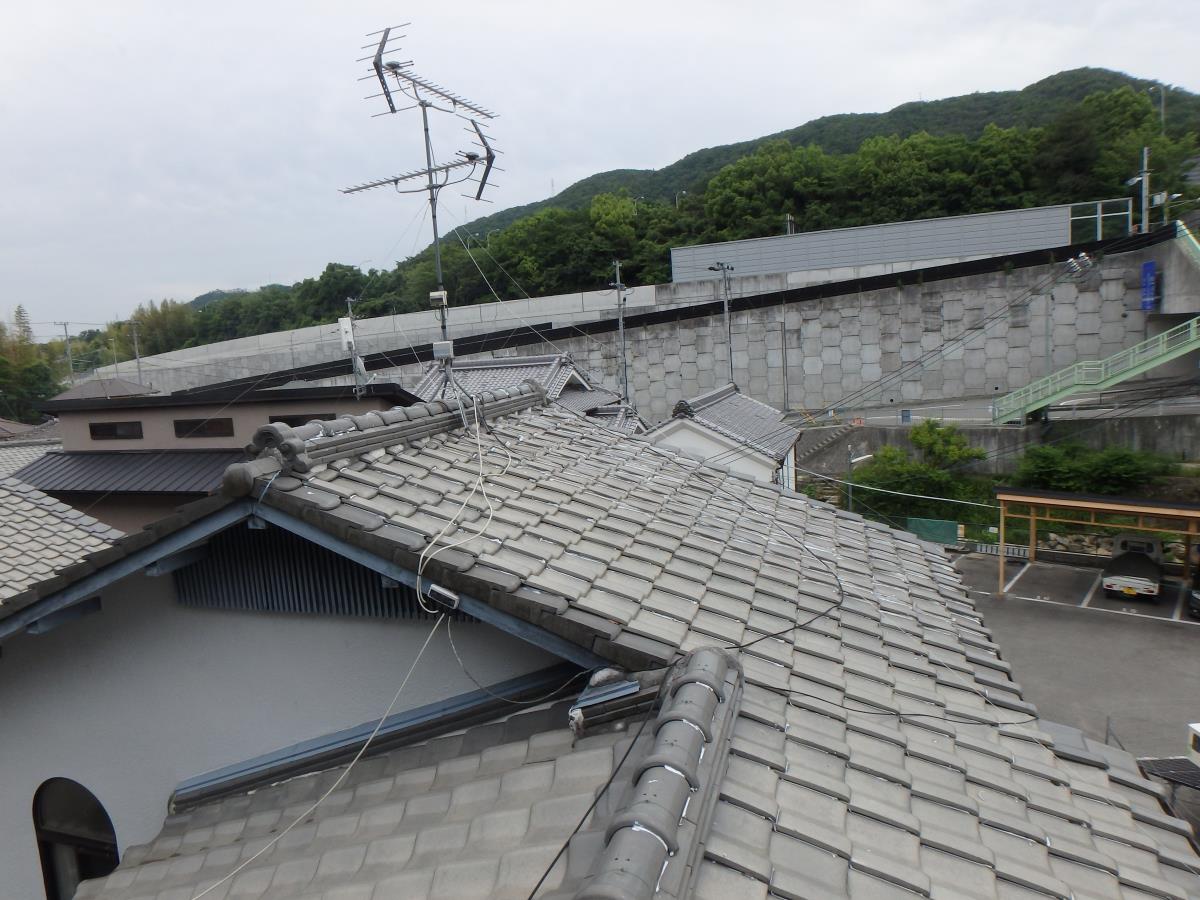 ���튢�i�V���o�[�j