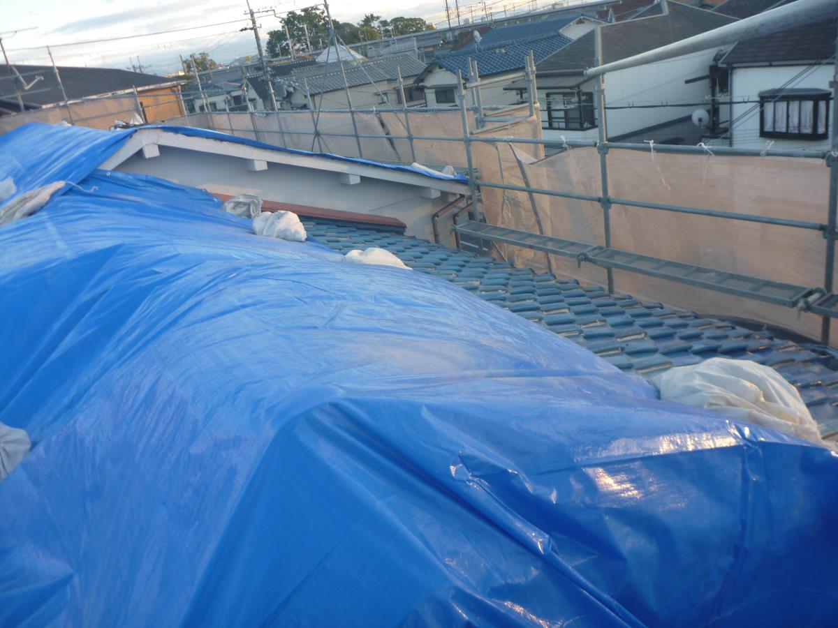 ���튢�i�΁j