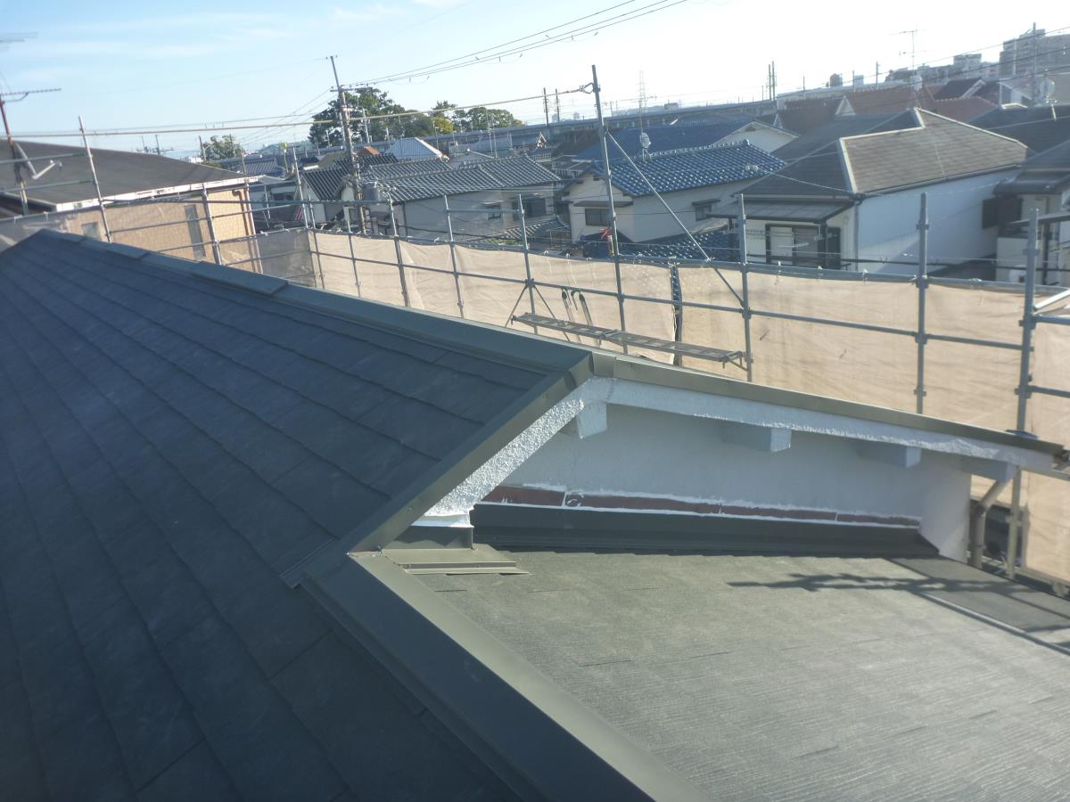 �R���j�A���O���b�T�i�A�C���b�V���O���[���j