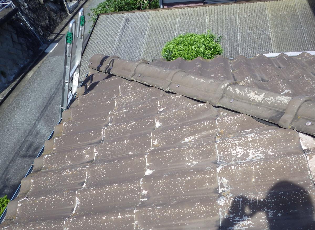 �Z�L�X�CU��