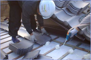 �|���t�H�[���H�@�ʐ^