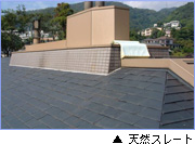 �V�R�X���[�g