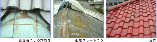 �Y���A����A�����A�j���A���A�򉻂Ȃǉ摜