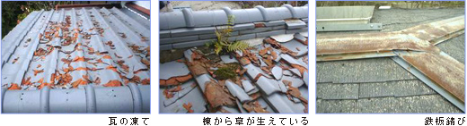 �Y���A����A�����A�j���A���A�򉻂Ȃǉ摜