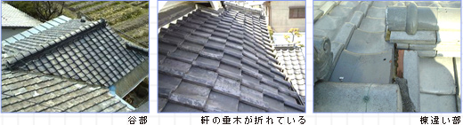 �Y���A����A�����A�j���A���A�򉻂Ȃǉ摜