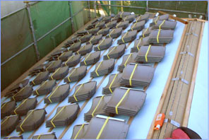 �O�f�M�H�@